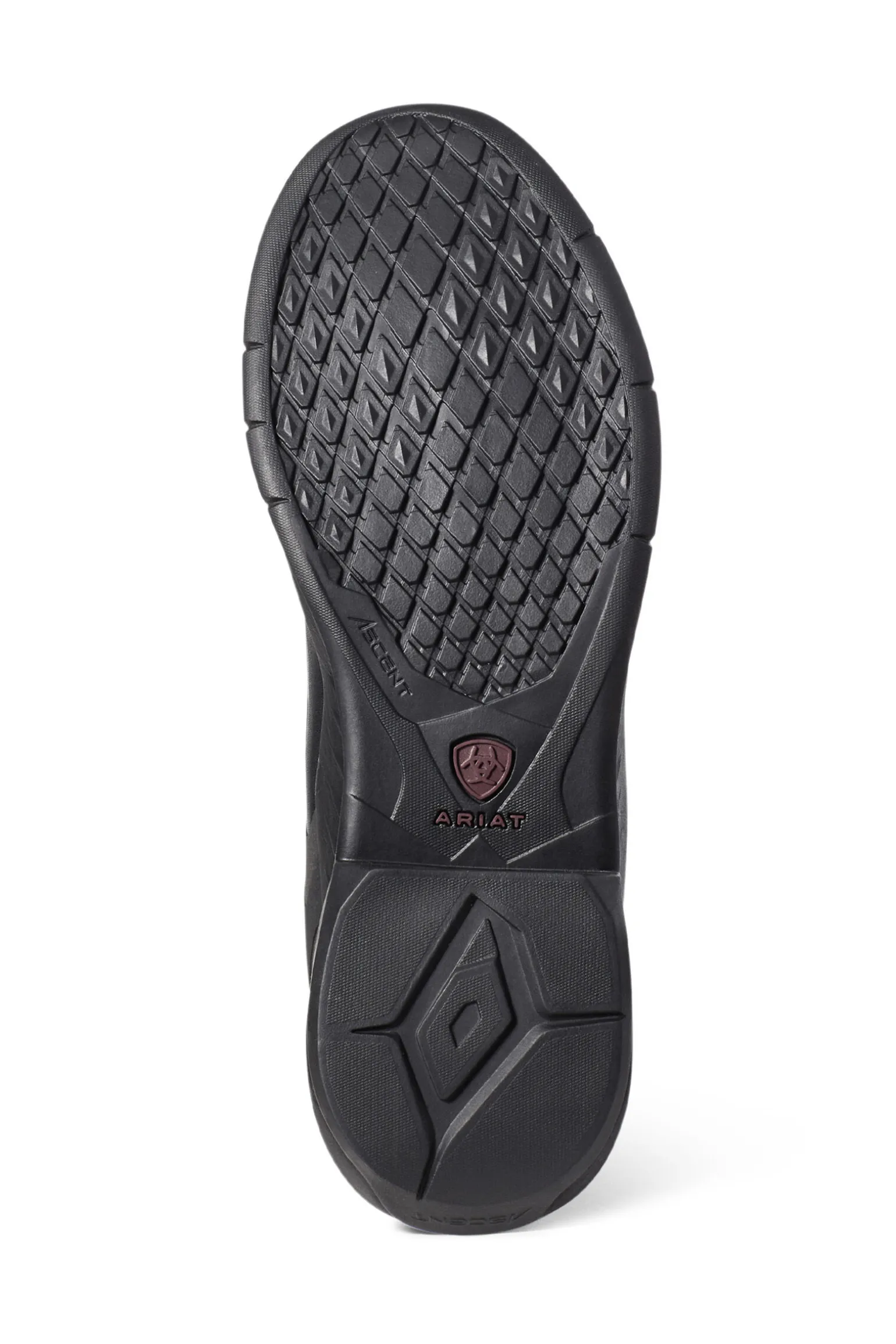 Ariat Ascent ridestøvler, dame