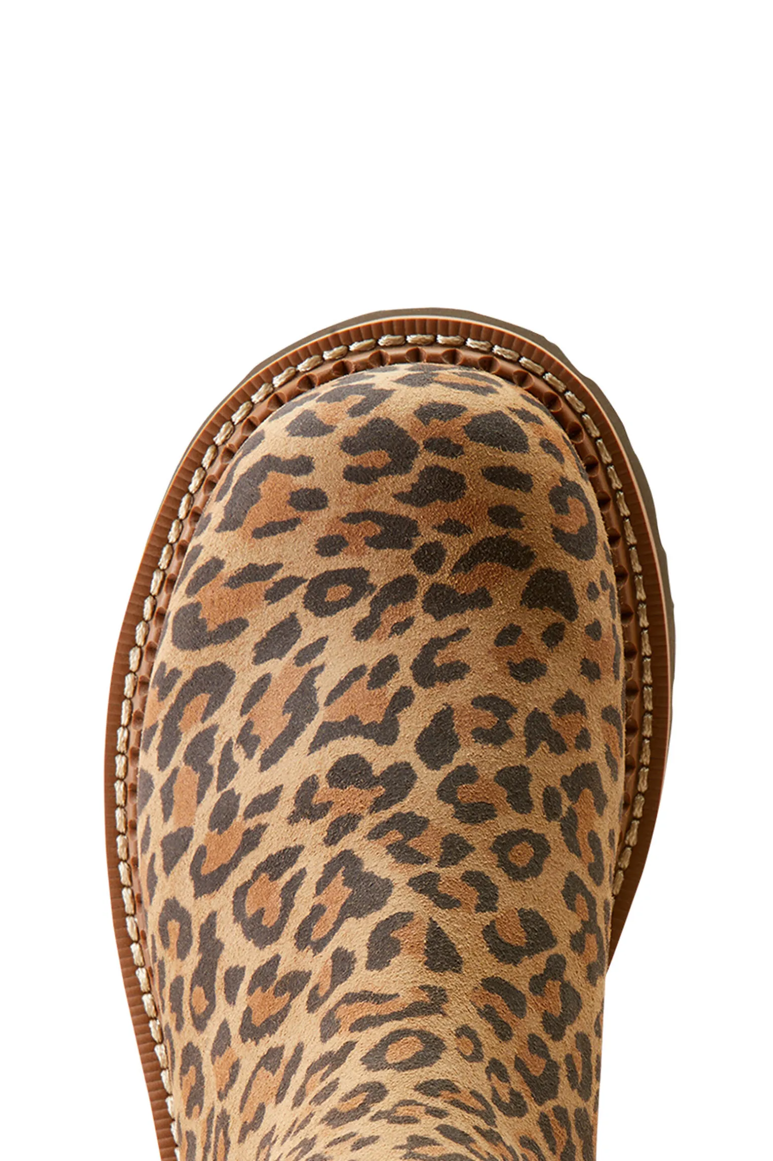 Ariat Fatbaby Twin Gore Westernstøvler