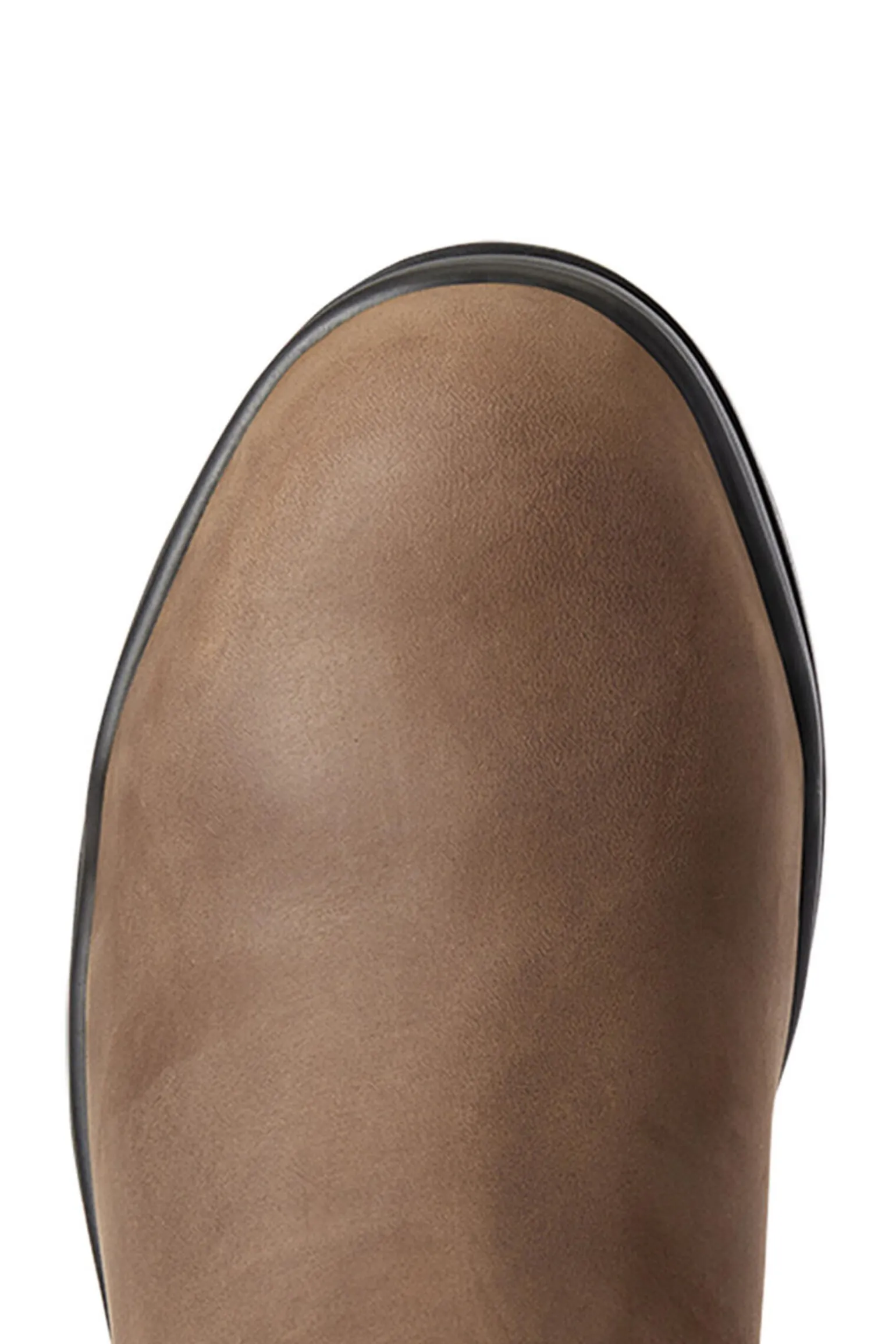 Ariat Keswick dames jodphurstøvler med ståltå