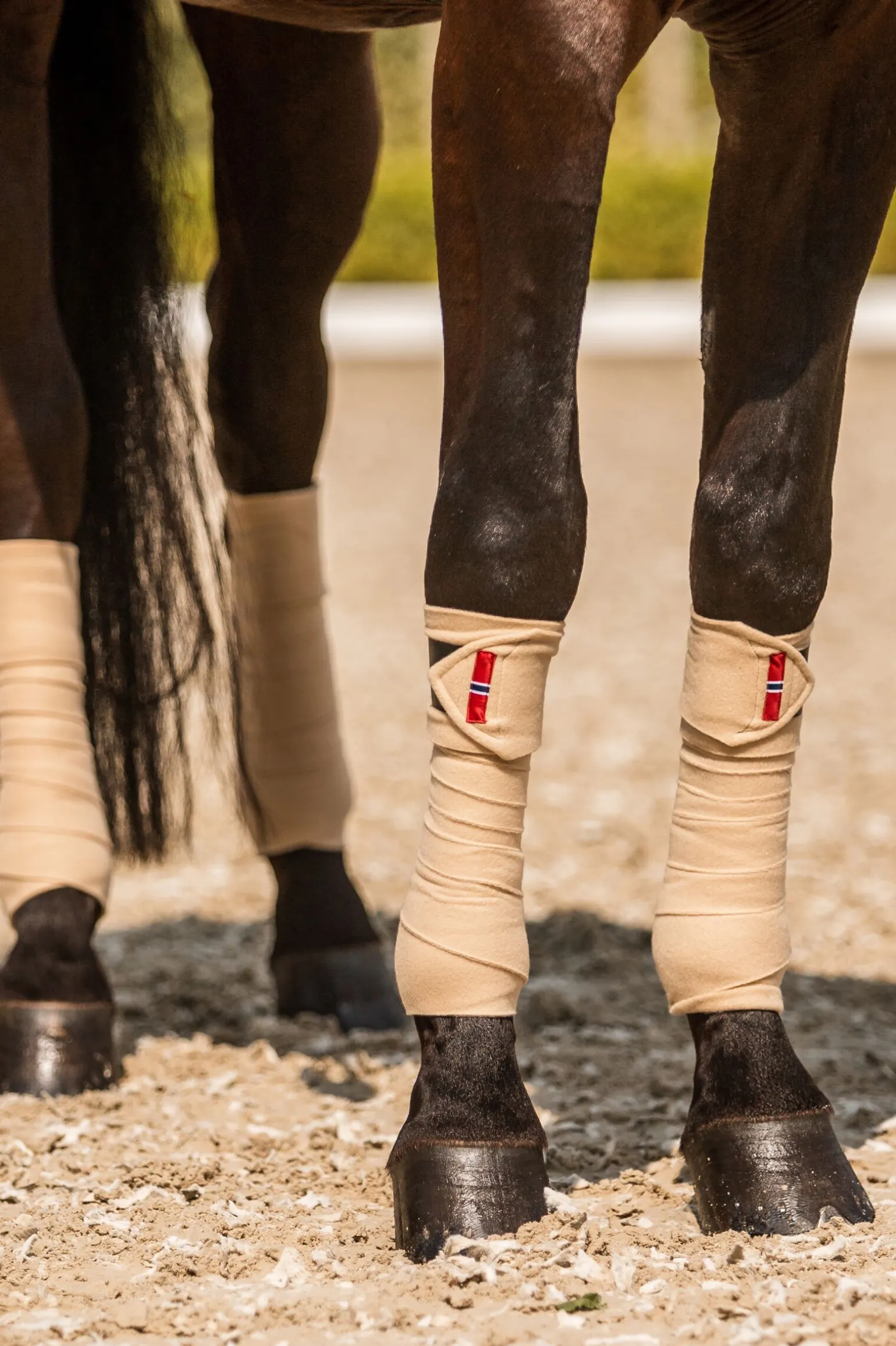 B Vertigo Amory fleecebandasjer