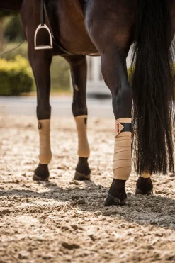 B Vertigo Amory fleecebandasjer