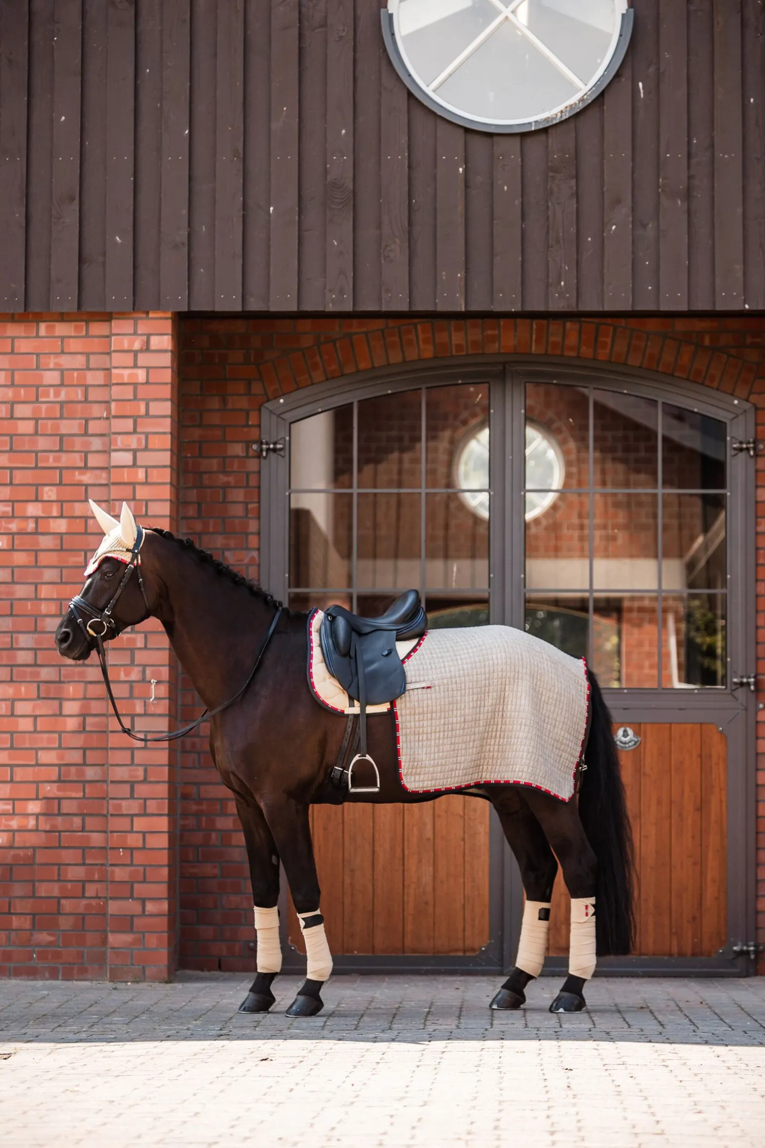 B Vertigo Amory treningsdekken