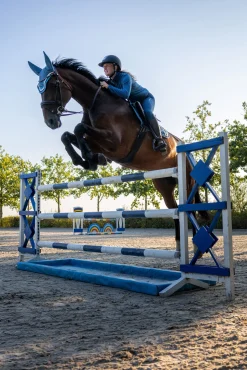 B Vertigo Darcey fleece ridejakke