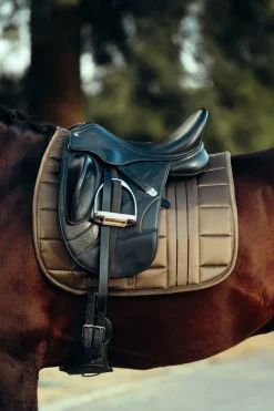 B Vertigo Drew dressursjabrak