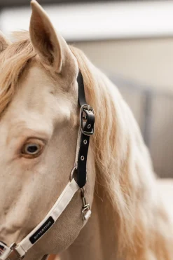 B Vertigo Empowerment Field-Safe grime