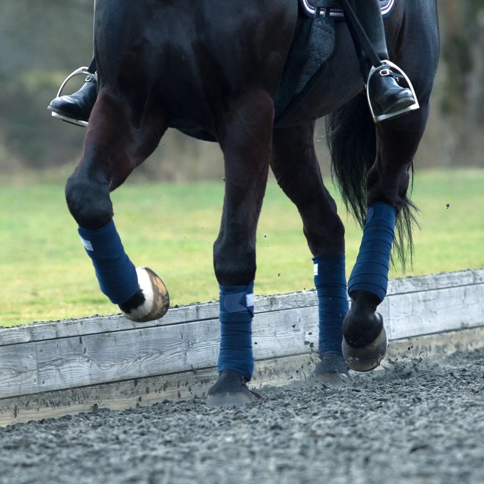 B Vertigo France stallbandasjer