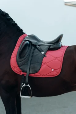 B Vertigo Laurel dressursjabrak