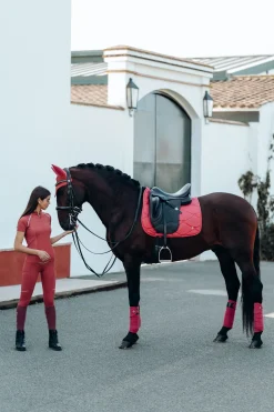 B Vertigo Laurel dressursjabrak