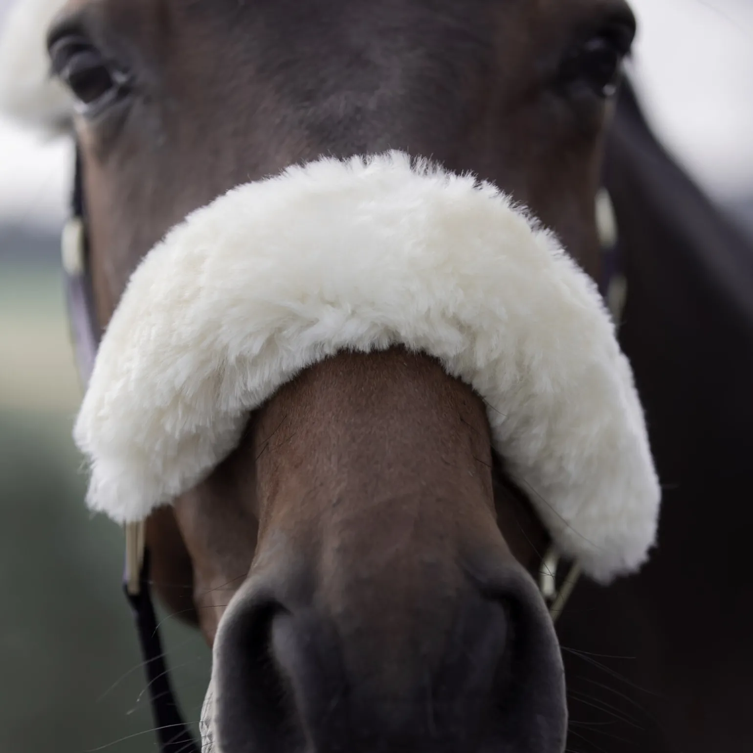 B Vertigo Laurier grime med saueskinn