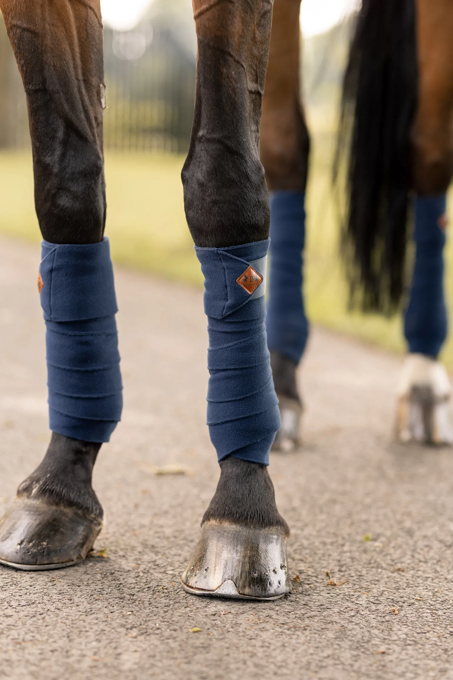 B Vertigo Lexi fleecebandasjer