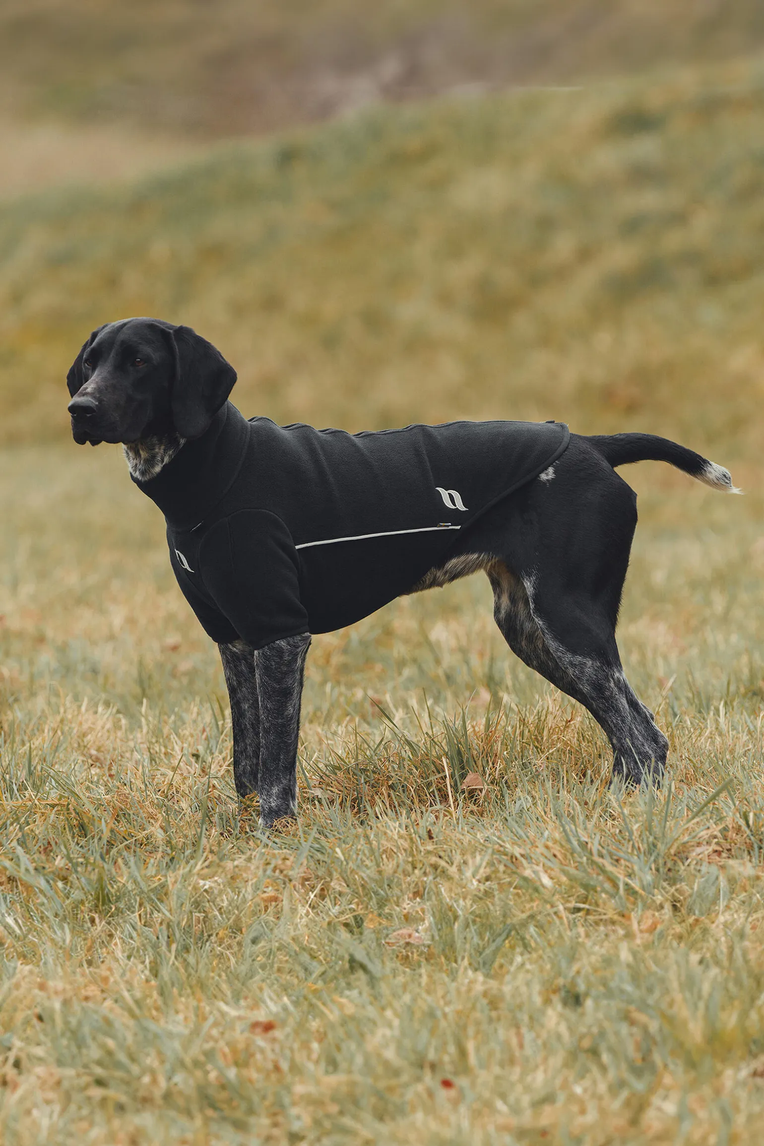 Back on Track Cassie allværsgenser, 25-30 cm