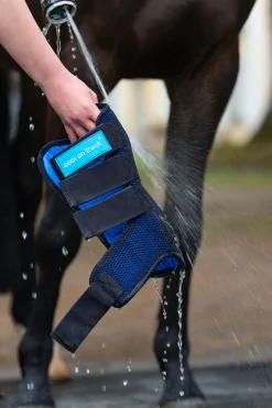 Back on Track Cool on Track belegg