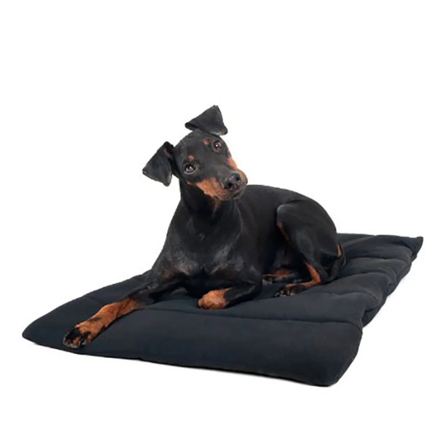 Back on Track hundeteppe