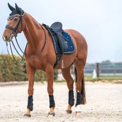 Back on Track Night Collection sjabrak, dressur