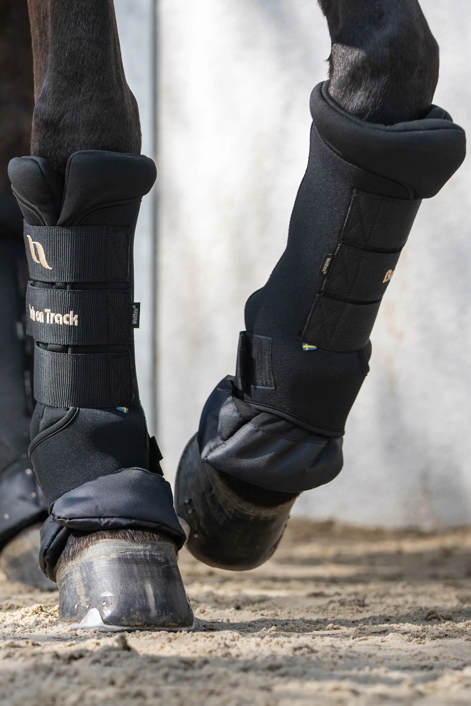 Back On Track Quick Royal stallbandasjer