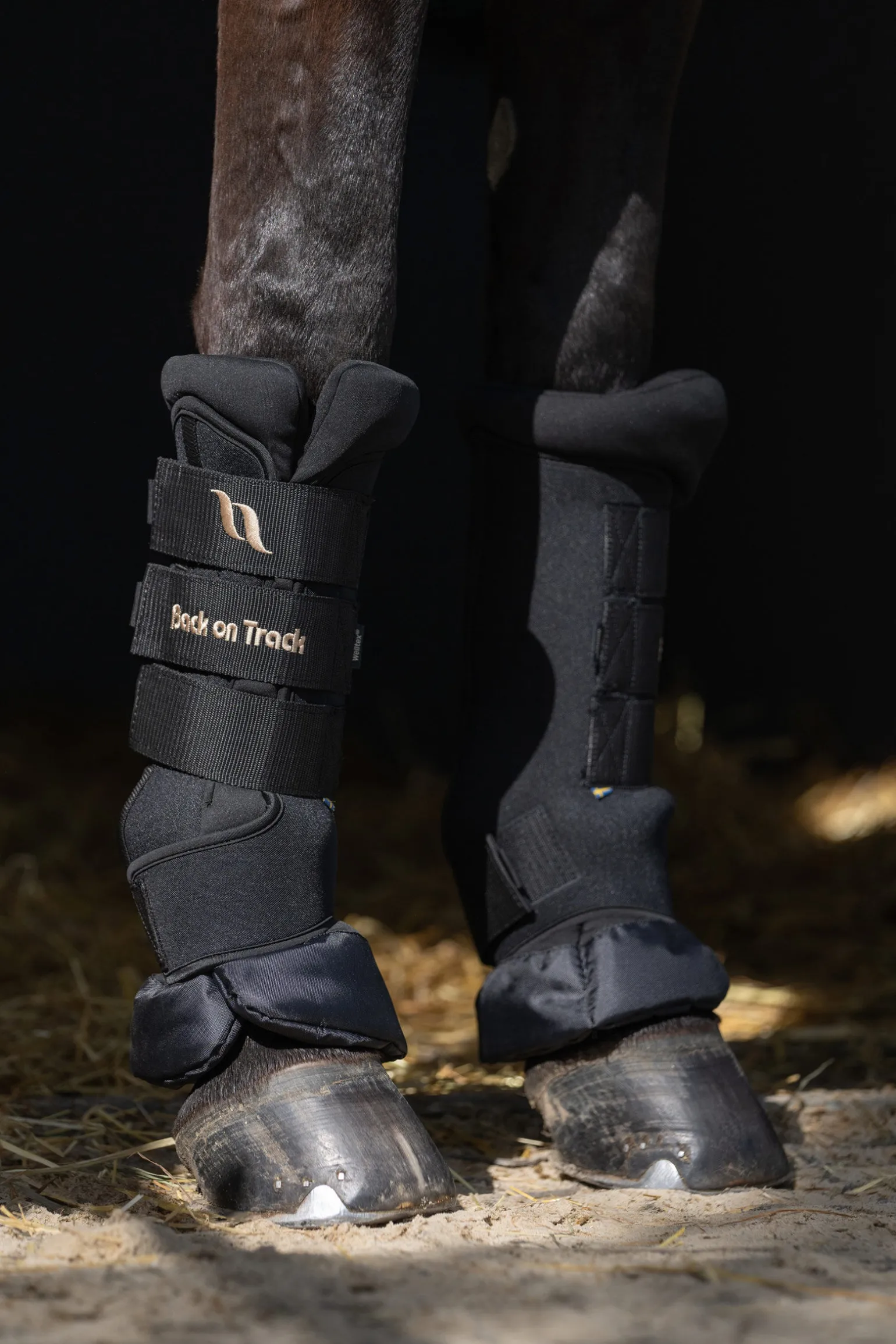 Back On Track Quick Royal stallbandasjer