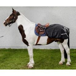 Back on Track ridedekken