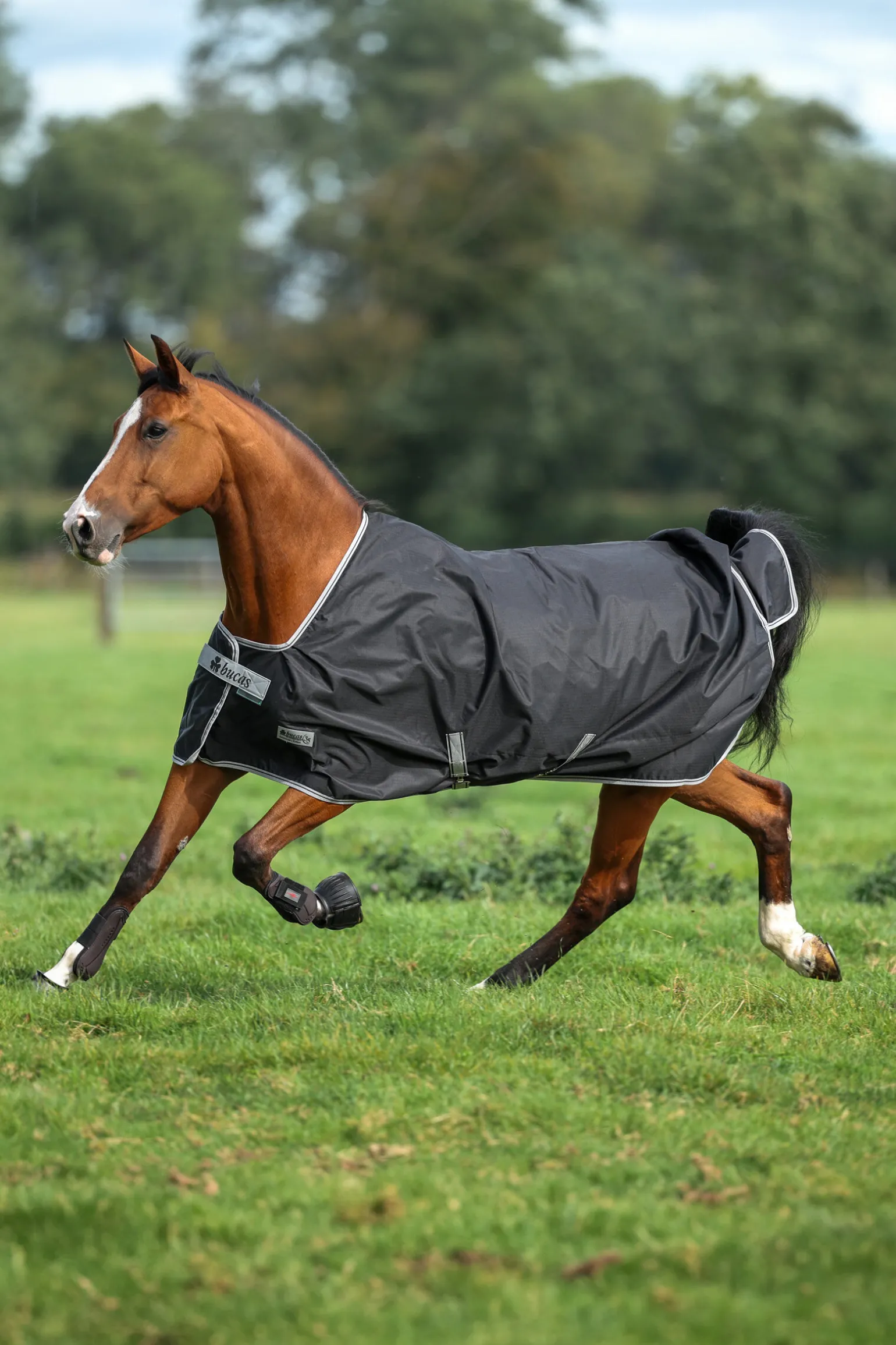 Bucas Anniversary SF lett regndekken, 50g