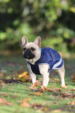 Bucas Freedom Hundedekken, 50g (30-45 cm)