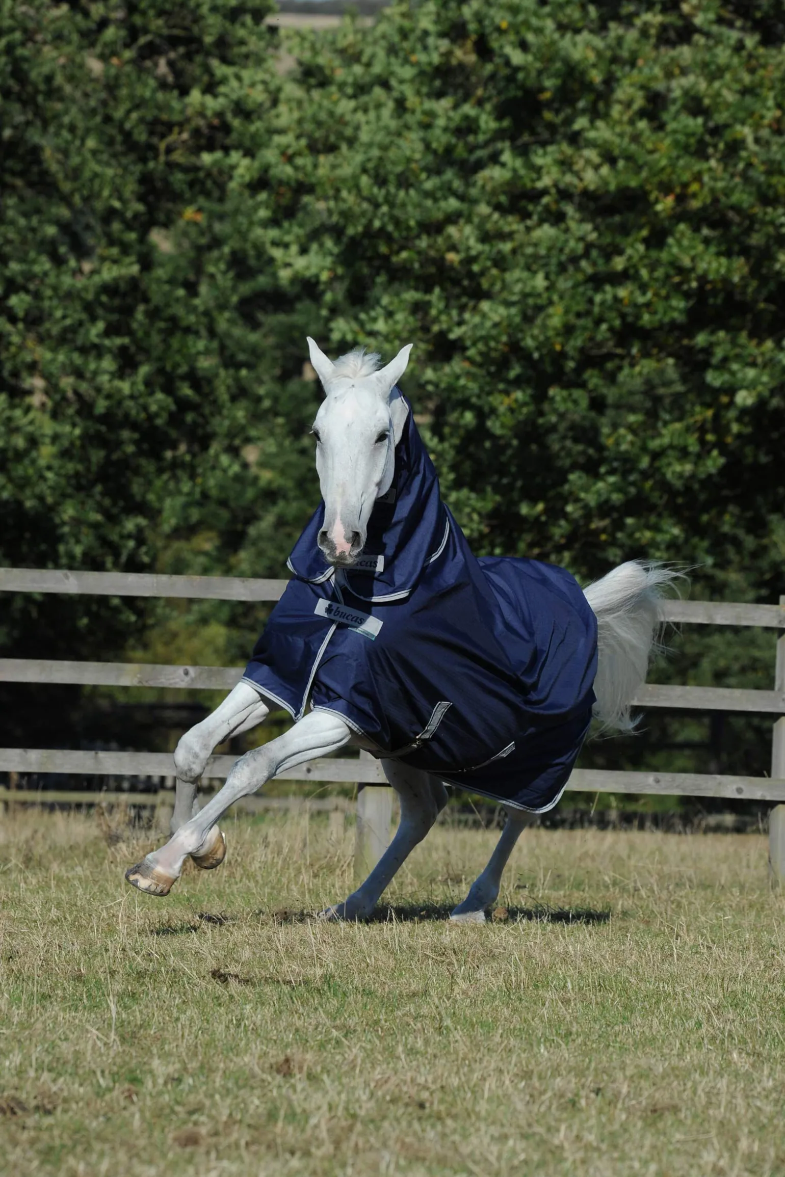 Bucas Freedom lett utedekken med fast helhals, 0g