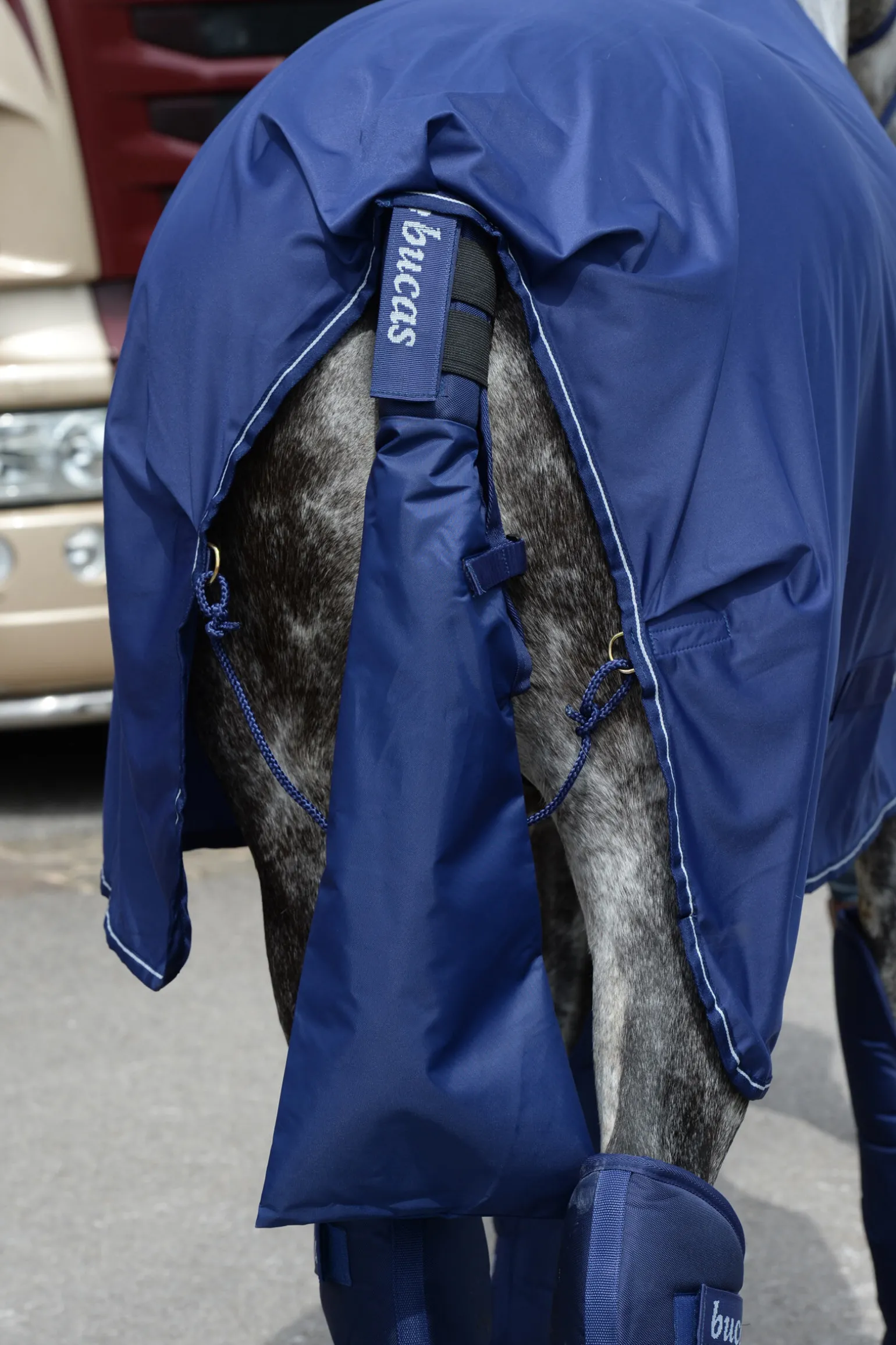 Bucas Halebeskytter & Halebag