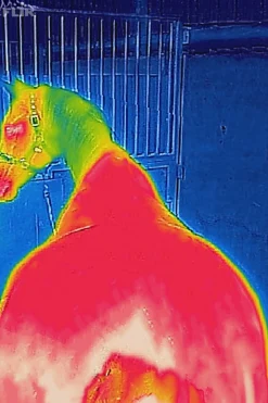 Bucas Therapy utedekken lett, 50g