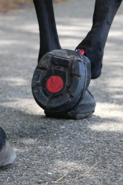 Cavallo Hoof Boots F.R.A. Trek Boots (smal/par)