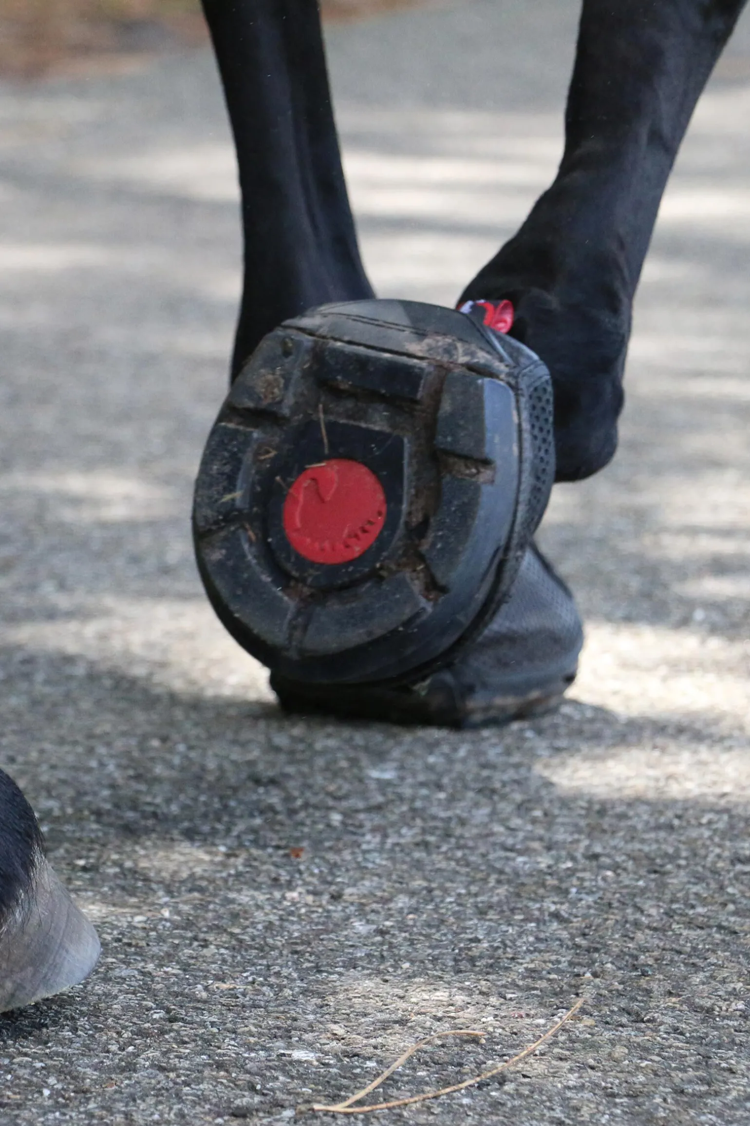 Cavallo Hoof Boots F.R.A. Trek Boots (smal/par)