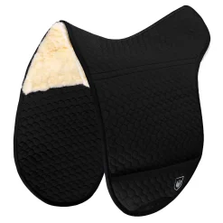 Christ innlegg til sjabrak SD Champ