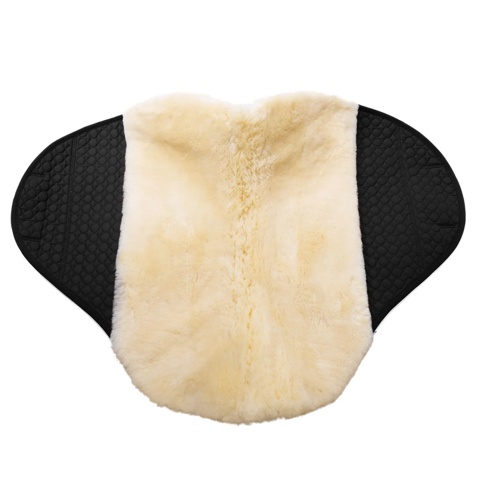 Christ Voilock Champ for bomløs sal