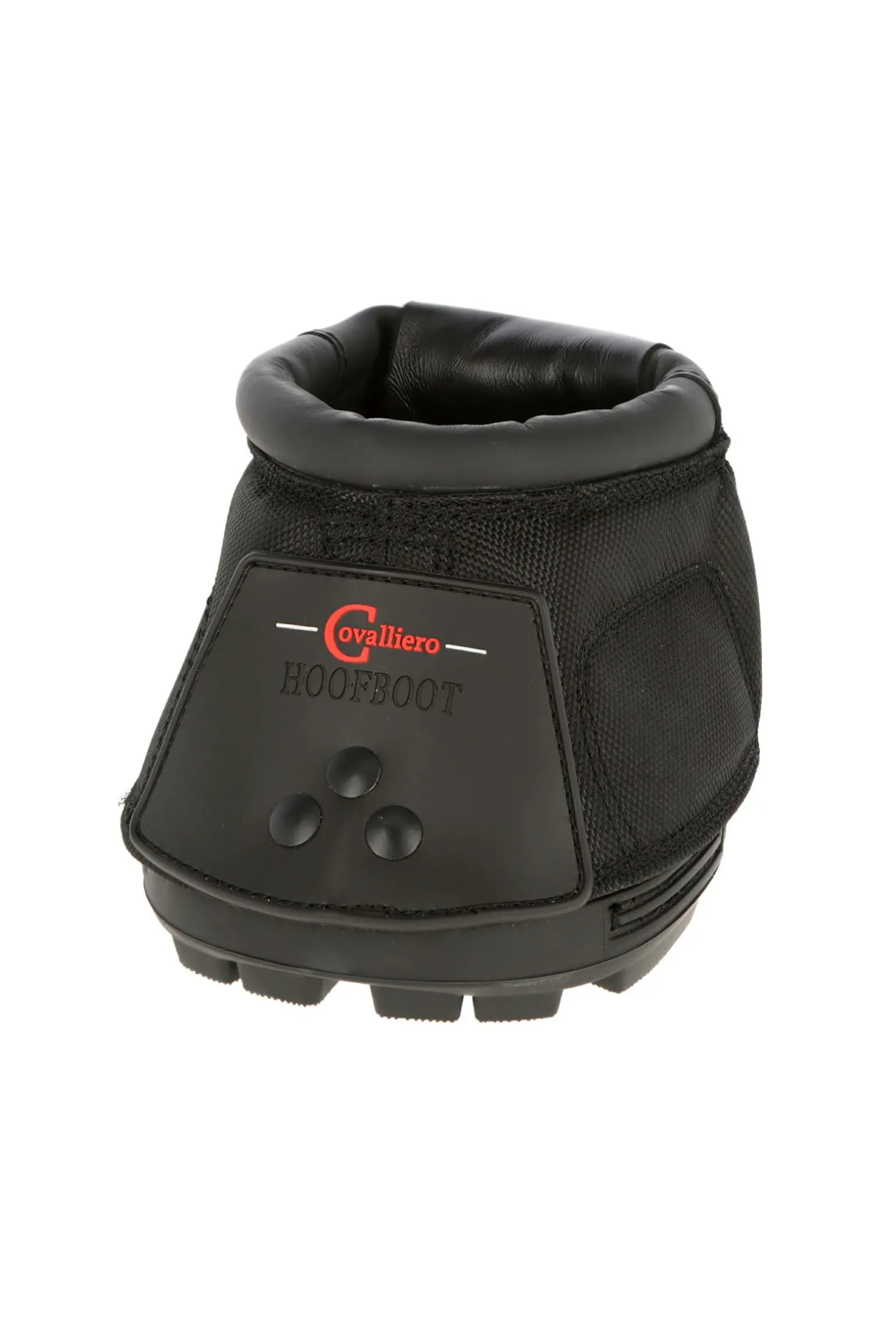 Covalliero hovsko (1 stk)