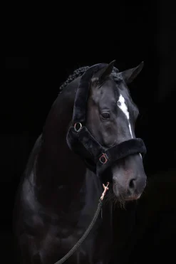 Covalliero SuperSoft grime