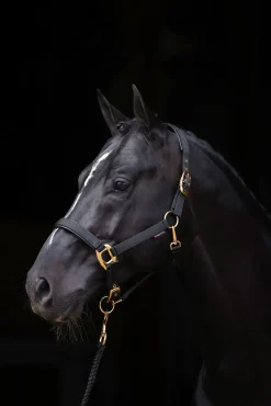 Covalliero TopLine grime