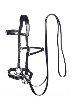 F.R.A. Freedom Riding Articles Caval komplett cavemore hodelag (system 2) i engelsk lær, shire