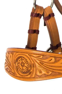 F.R.A. Freedom Riding Articles Diego bitless bridle