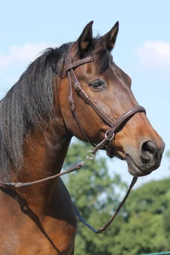F.R.A. Freedom Riding Articles El Camin bittless bridle (system 5) med myke tøyler