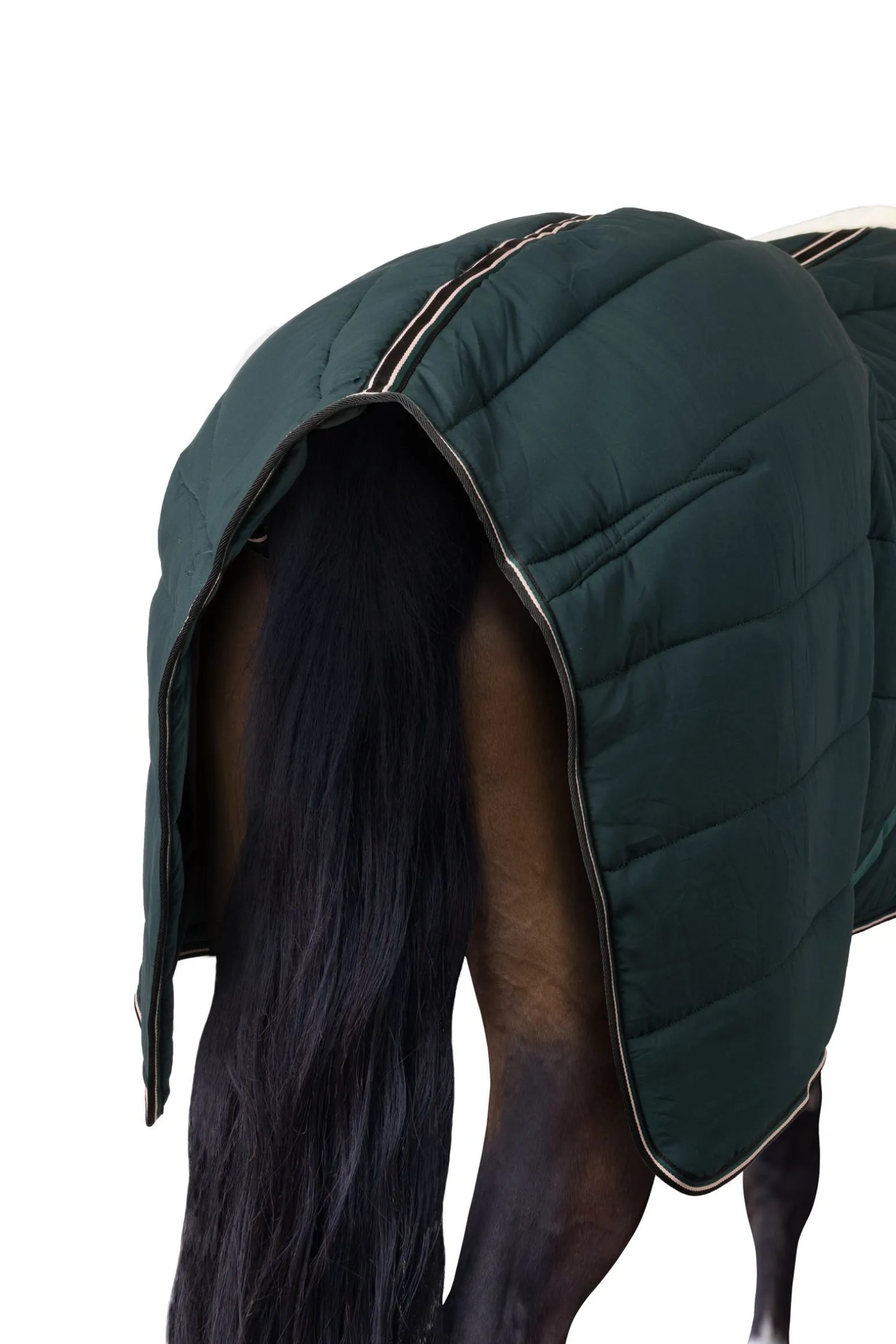 Glasgow ponnidekken for stall