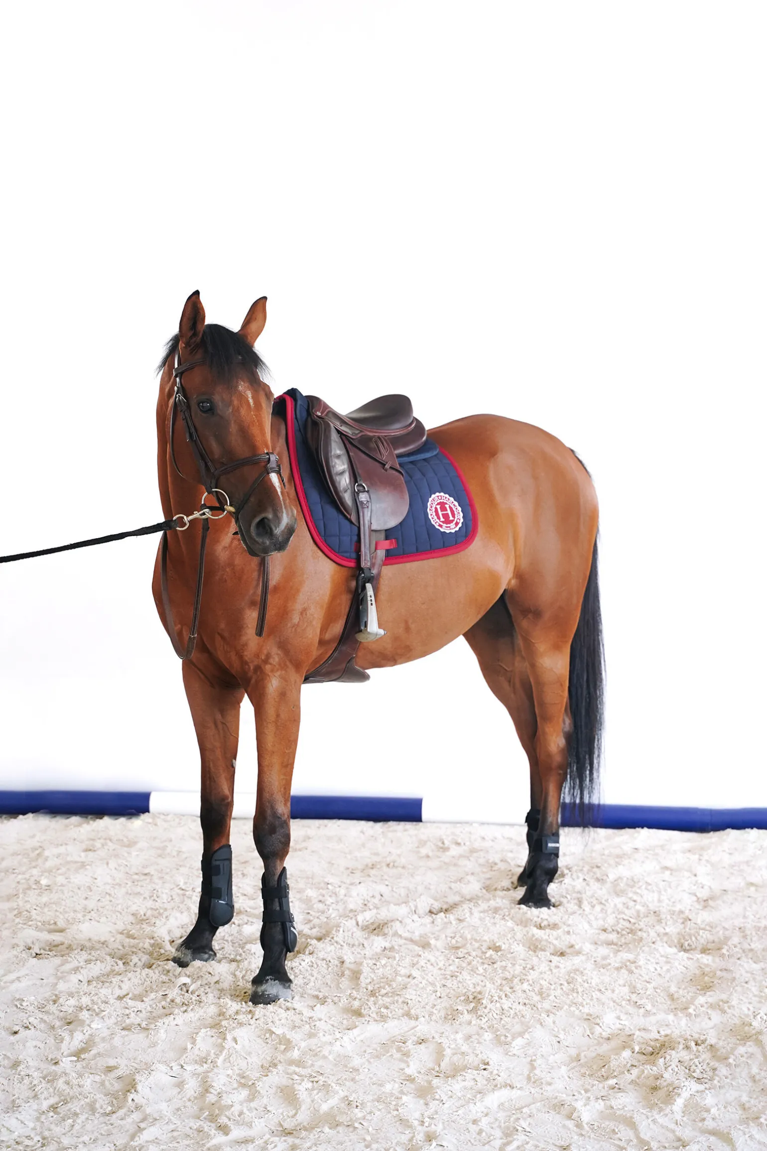 Harcour Safine dressurseterunderlag