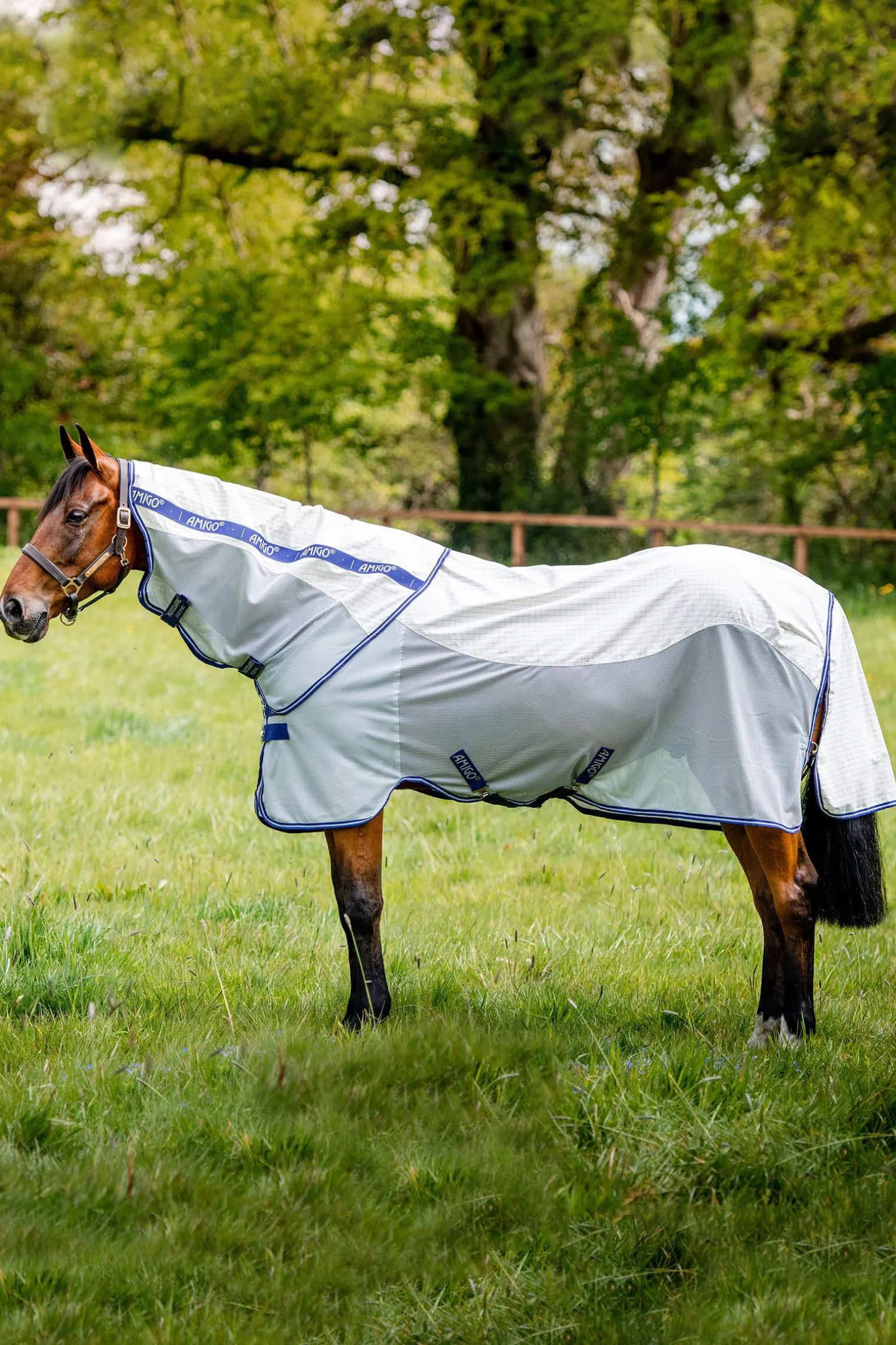 Horseware Amigo Airflow flueteppe med avtakbar nakkedel