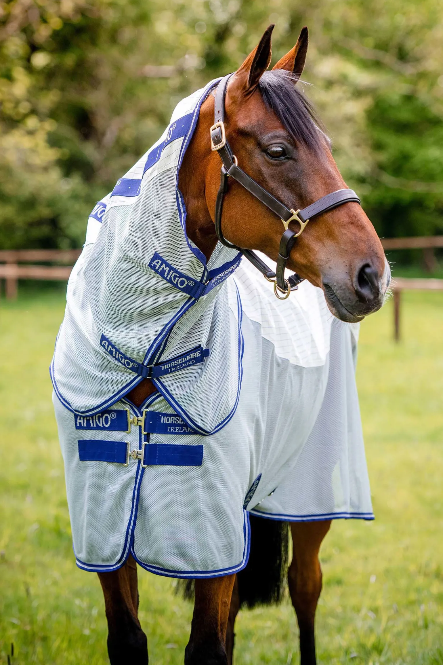 Horseware Amigo Airflow flueteppe med avtakbar nakkedel