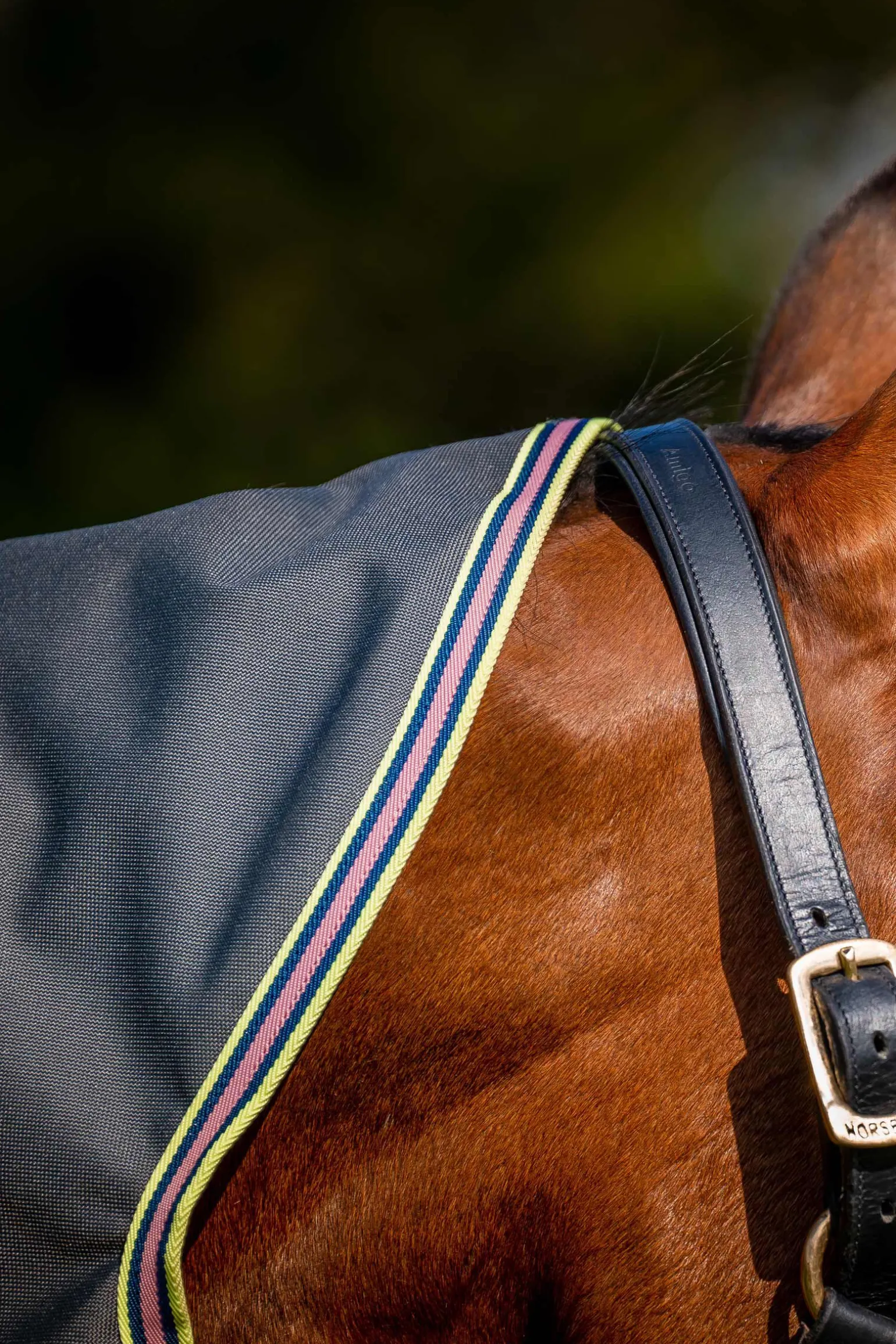 Horseware Amigo Bravo 12 Plus utedekken med avtakbar hals, 0g