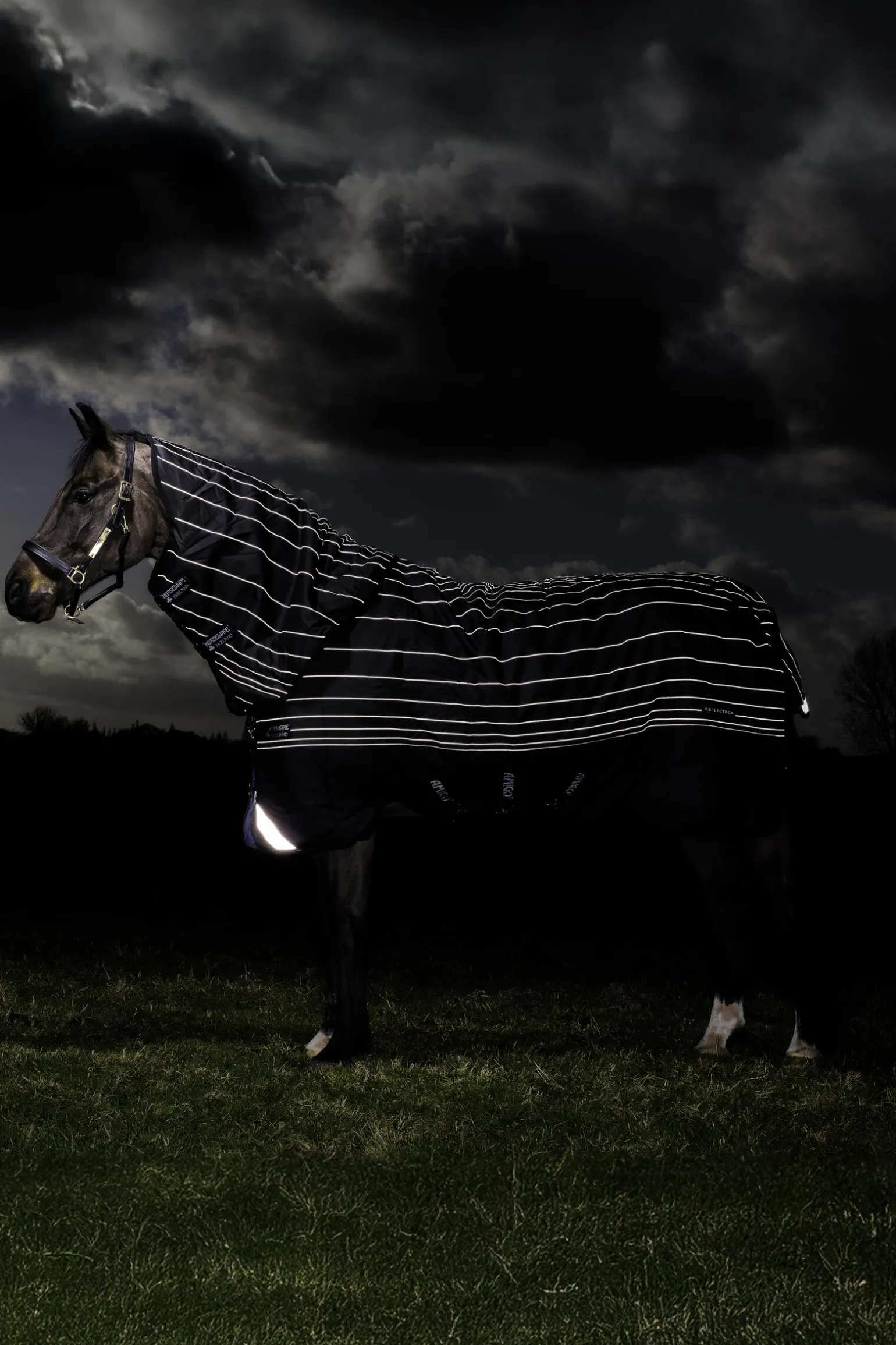 Horseware Amigo Bravo 12 Reflectech Plus utedekken med avtakbar hals, 250g