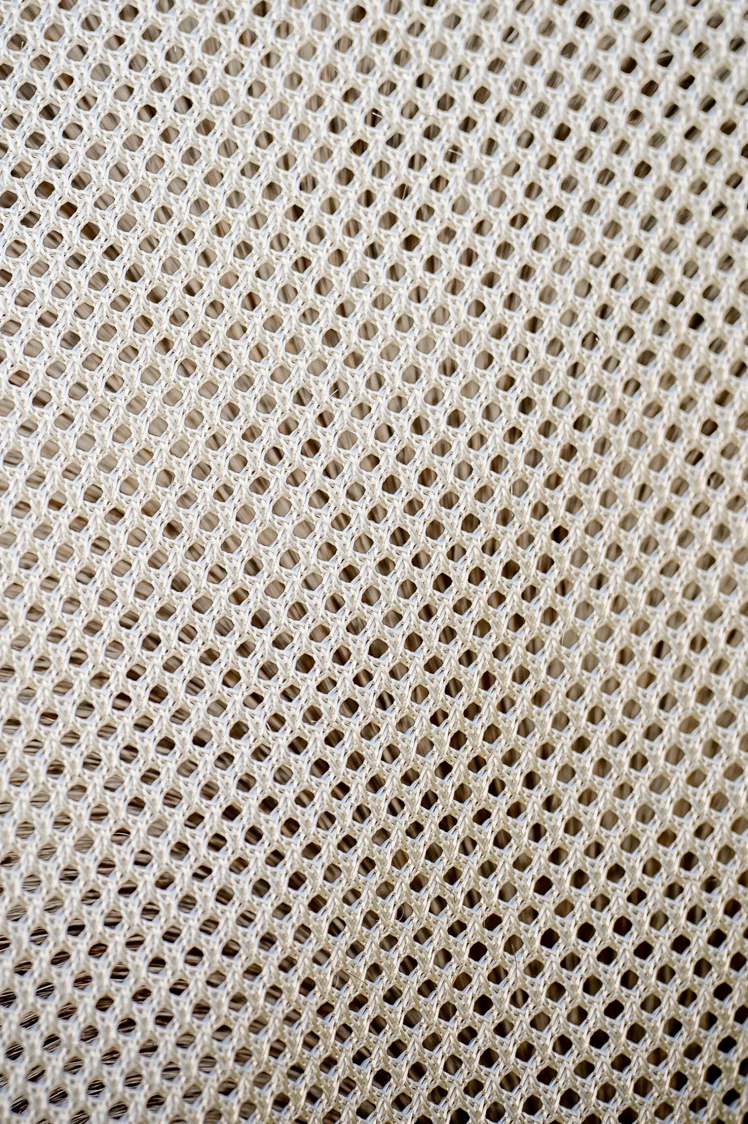 Horseware Amigo Bug Buster fluedekken med avtakbar halsdel