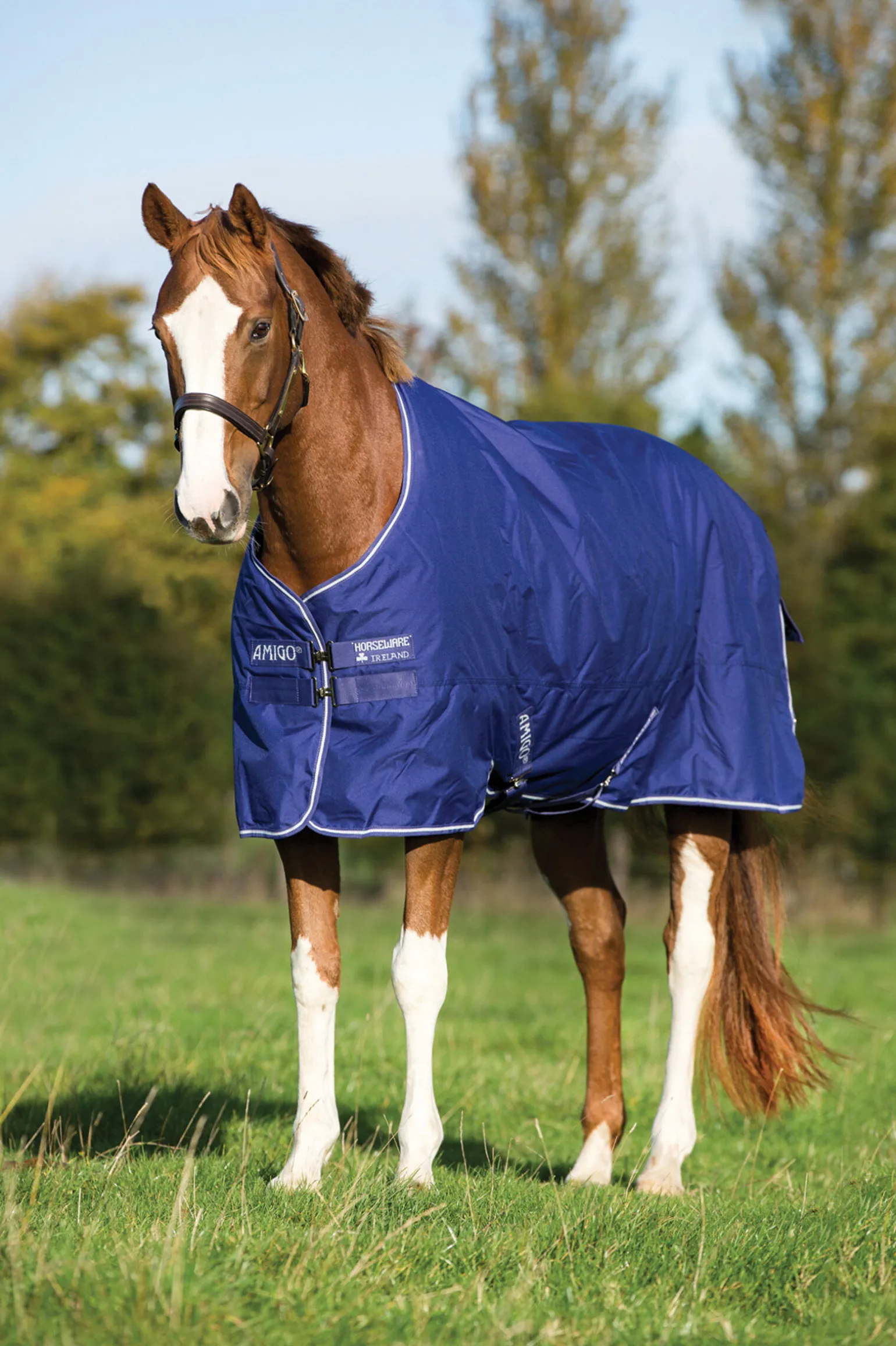 Horseware Amigo Hero 900 Plus Medium utedekken, 200g