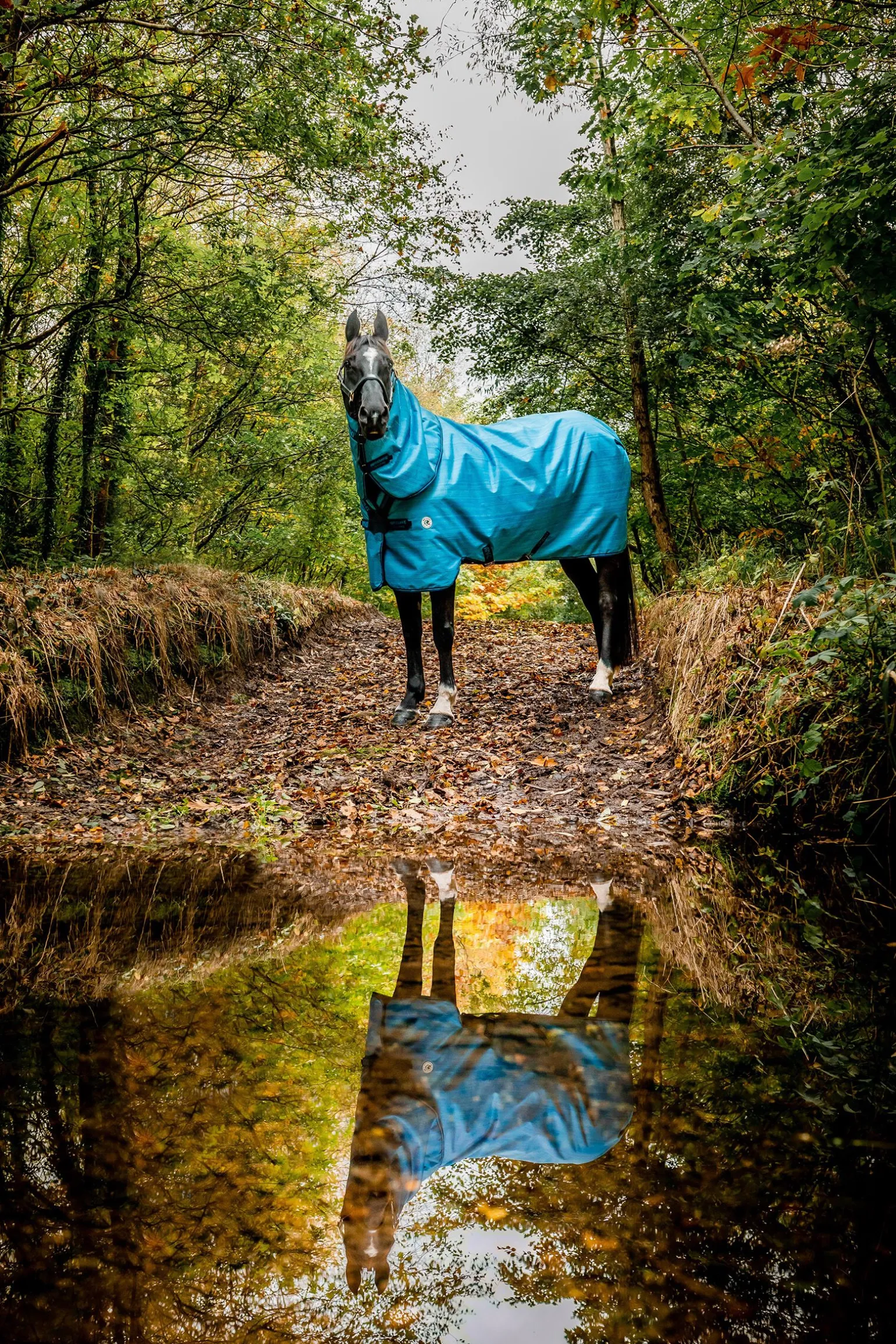 Horseware Amigo Hero 900 Revive Plus utedekken med avtakbar hals, 50 gram