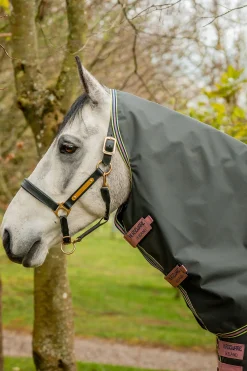 Horseware Amigo Hero Ripstop Plus utedekken med avtakbar hals, 0g