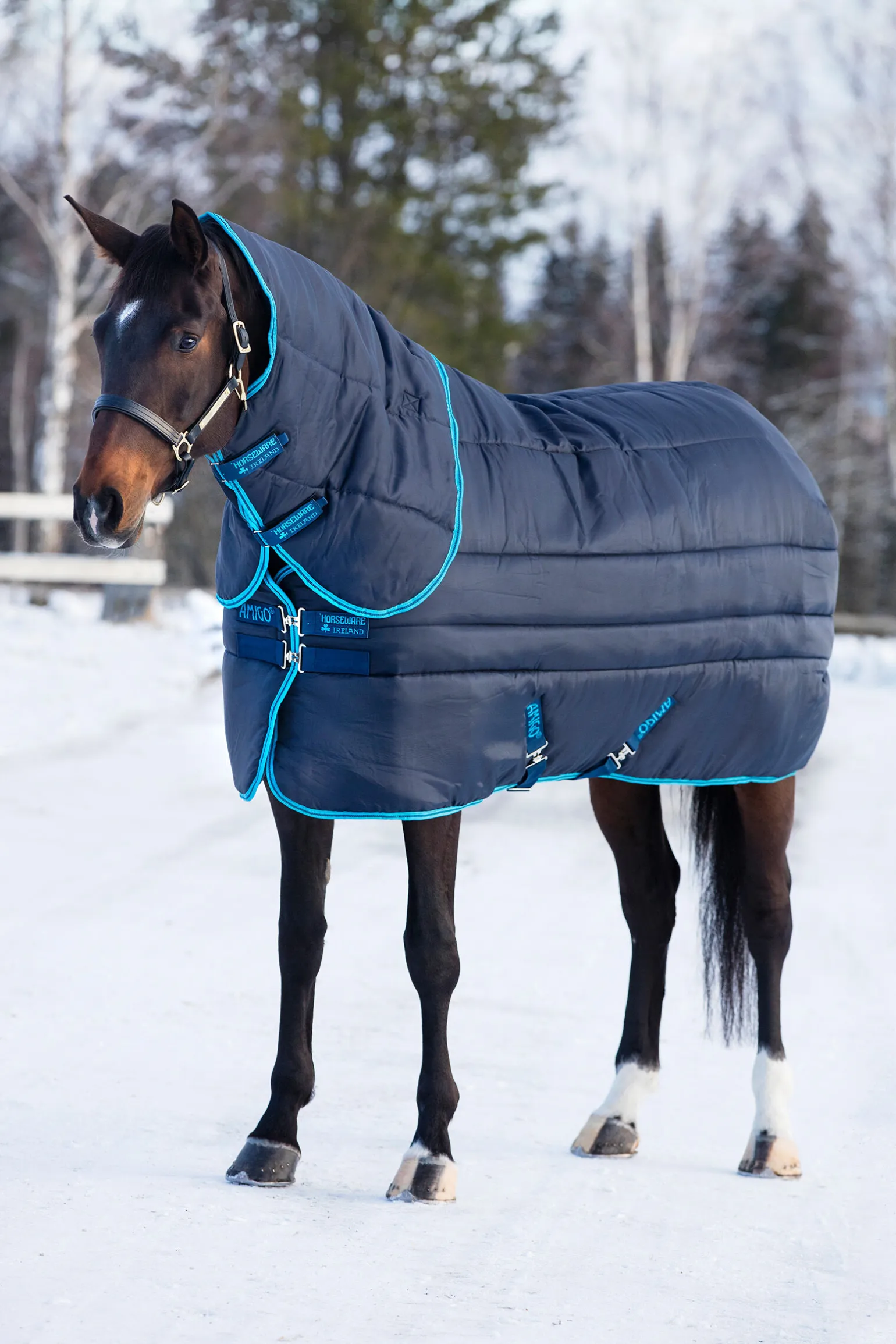 Horseware Amigo Insulator Plus Super Stalldekken med avtagbart hals, 550g