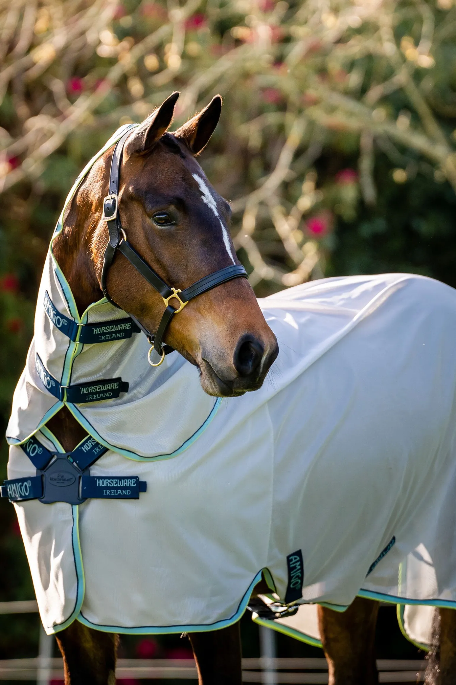 Horseware Amigo XL Fluedekken med Disc-lukking