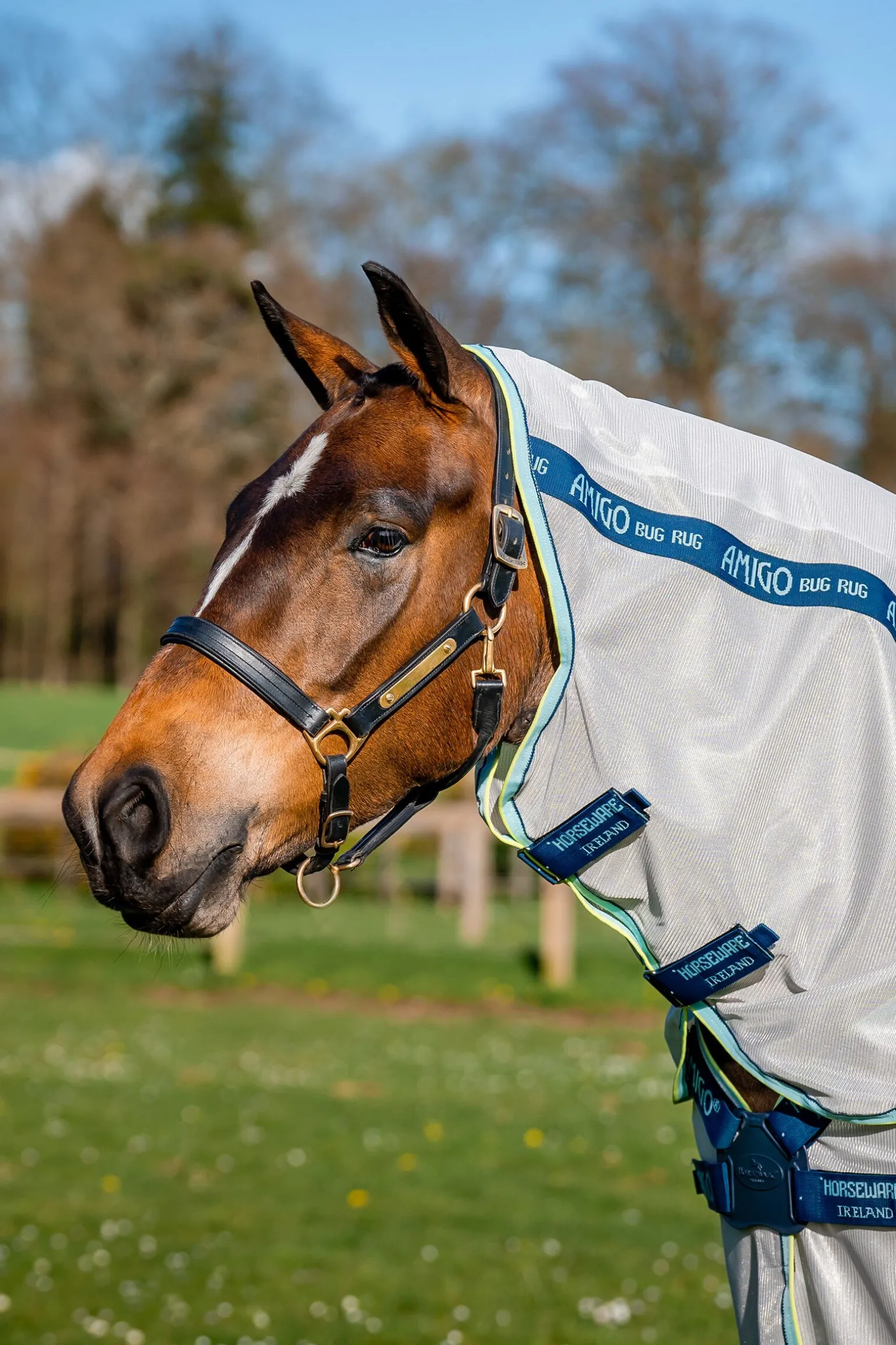 Horseware Amigo XL Fluedekken med Disc-lukking