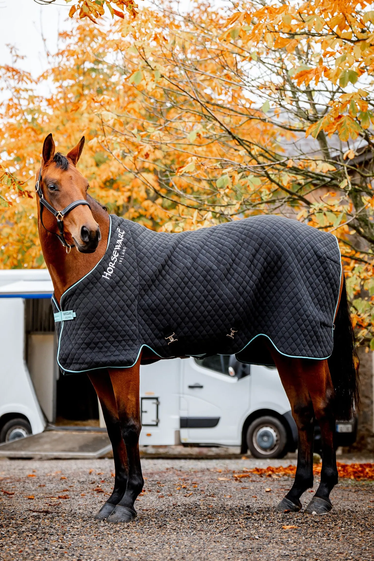 Horseware Autumn cooler